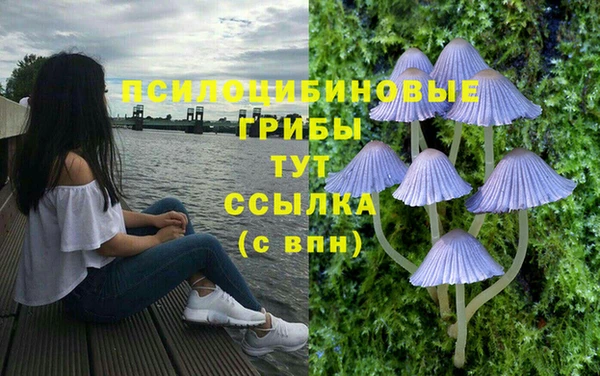 амфетамин Гусев