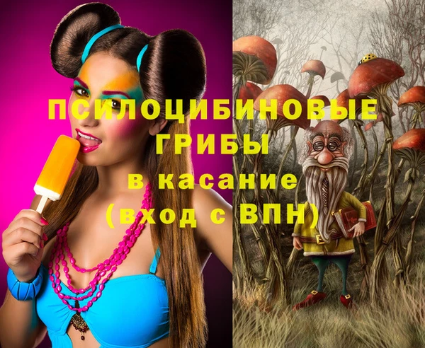 стаф Вязьма