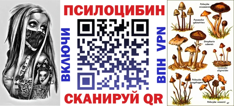 Галлюциногенные грибы мицелий  закладки  Десногорск 